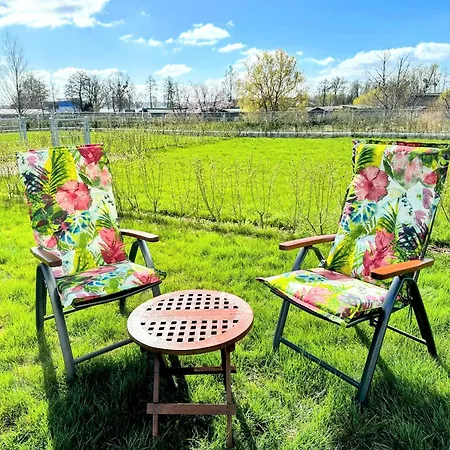 Apartament Rosi Sn *