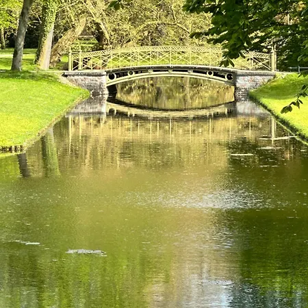 Rosi Sn Schwerin (Mecklenburg-Vorpommern)