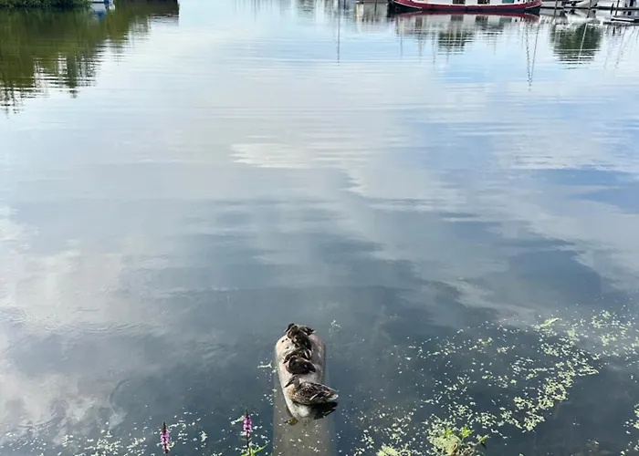 Rosi Sn Schwerin (Mecklenburg-Vorpommern)