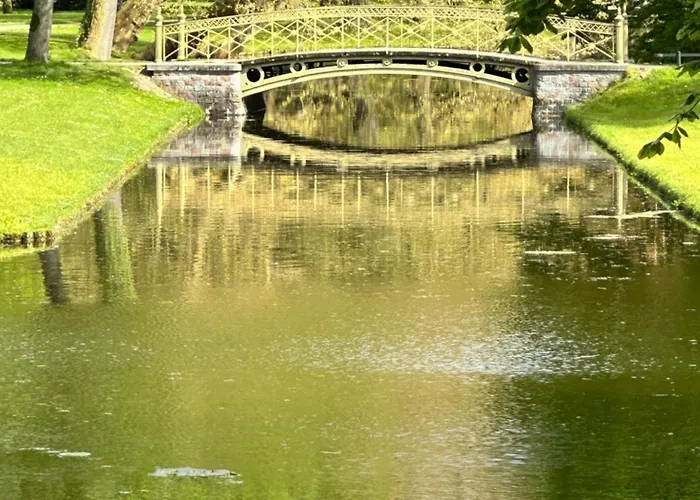 Rosi Sn Schwerin (Mecklenburg-Vorpommern)